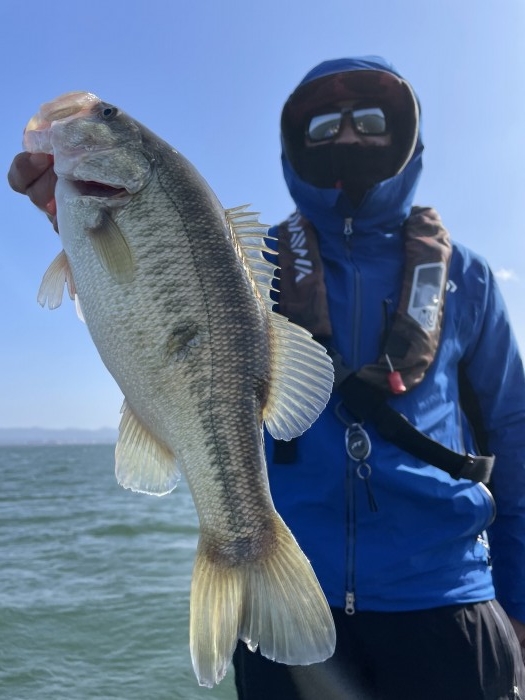 truth  ブログ写真 2021/03/10