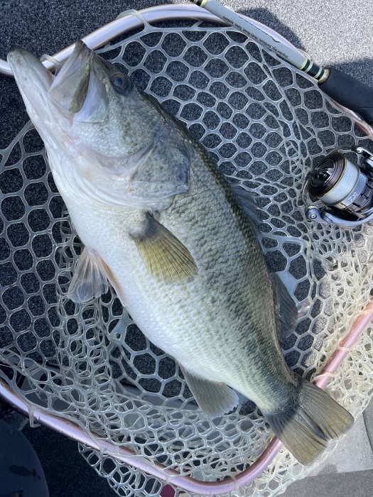 truth  ブログ写真 2021/03/15