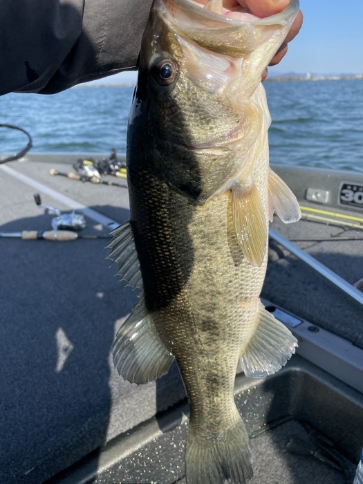 truth  ブログ写真 2021/03/15