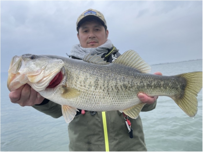 truth  ブログ写真 2021/03/16