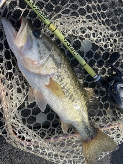 truth  ブログ写真 2021/03/17