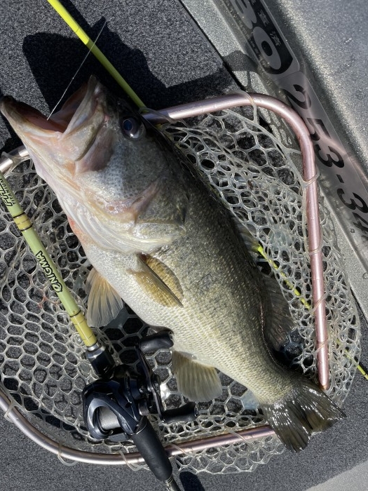 truth  ブログ写真 2021/03/19