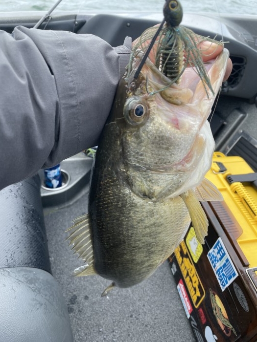 truth  ブログ写真 2021/03/20