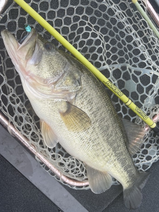 truth  ブログ写真 2021/03/21