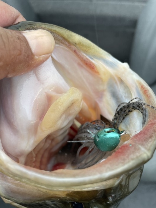 truth  ブログ写真 2021/03/21