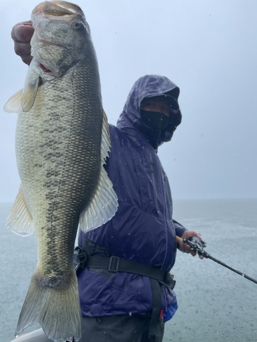 truth  ブログ写真 2021/03/21