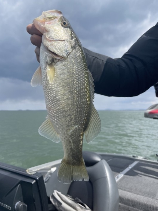 truth  ブログ写真 2021/03/22