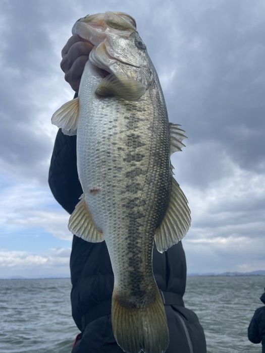 truth  ブログ写真 2021/03/22