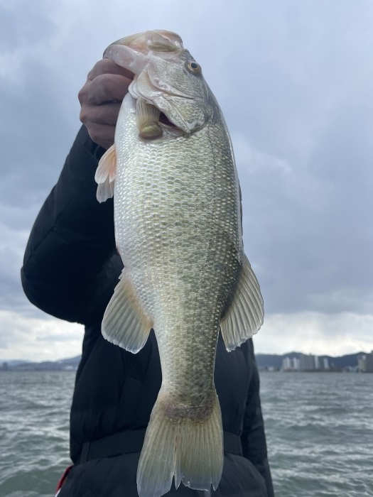 truth  ブログ写真 2021/03/22