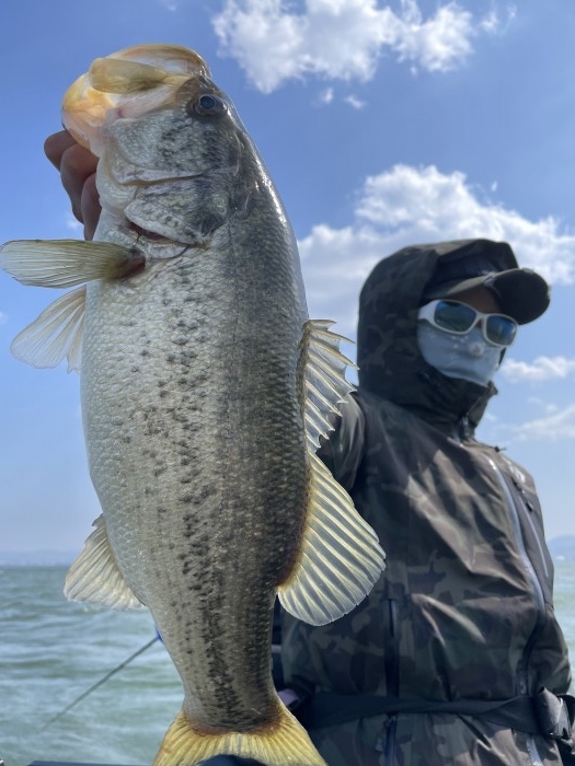 truth ブログ写真 2021/03/26