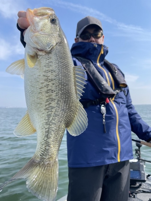 truth ブログ写真 2021/03/27