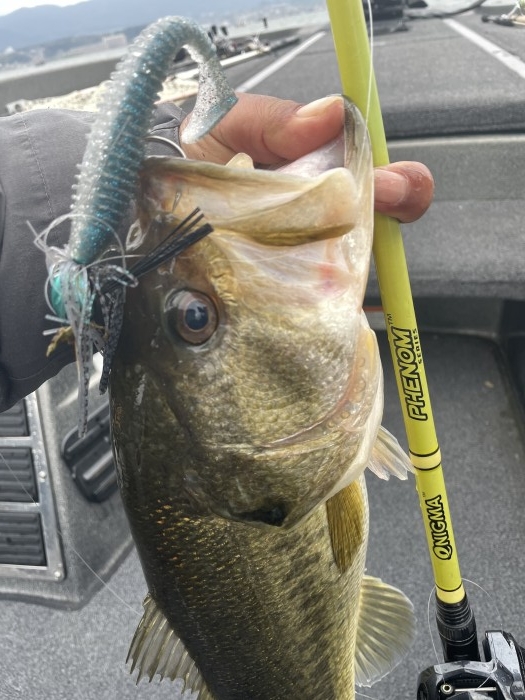 truth ブログ写真 2021/03/28