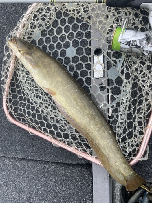 truth ブログ写真 2021/03/28