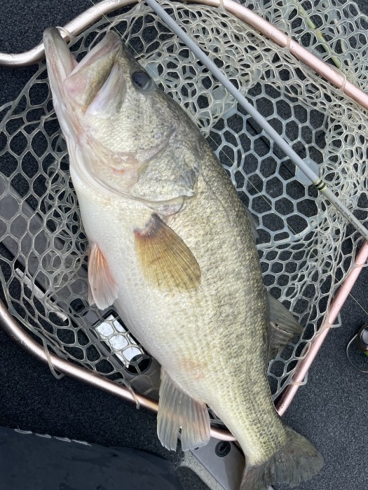 truth ブログ写真 2021/03/28