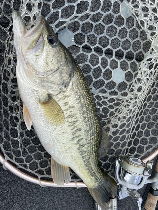 truth  ブログ写真 2021/04/02