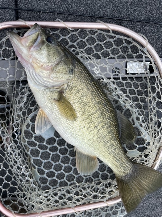 truth  ブログ写真 2021/04/03