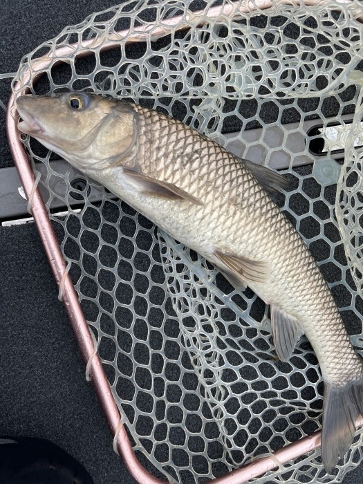 truth  ブログ写真 2021/04/04