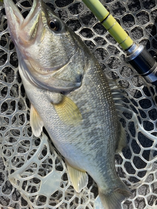 truth  ブログ写真 2021/04/10