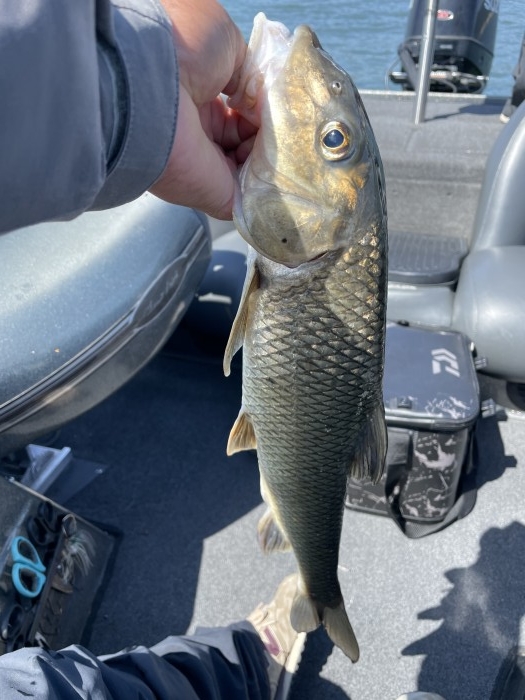 truth  ブログ写真 2021/04/10