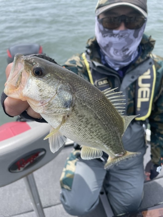 truth ブログ写真 2021/04/23