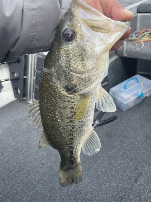 truth ブログ写真 2021/04/24