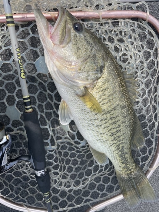 truth ブログ写真 2021/04/24