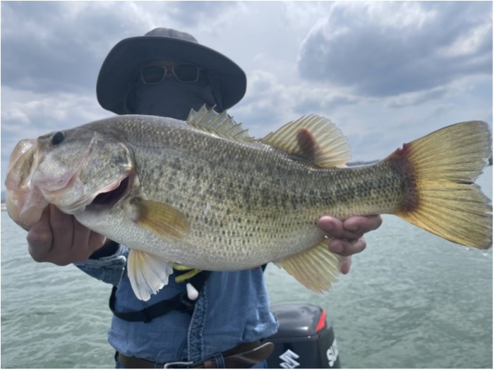 truth ブログ写真 2021/04/24