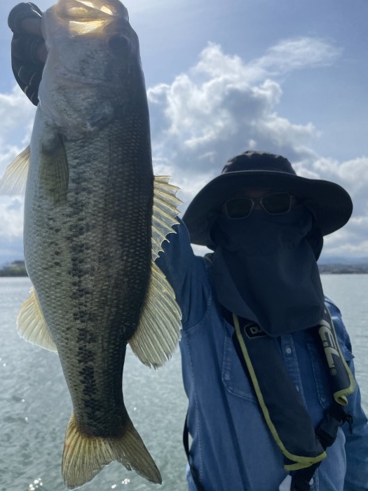 truth  ブログ写真 2021/04/25