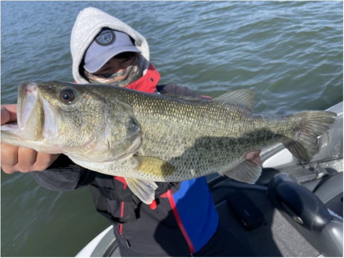 truth  ブログ写真 2021/04/27