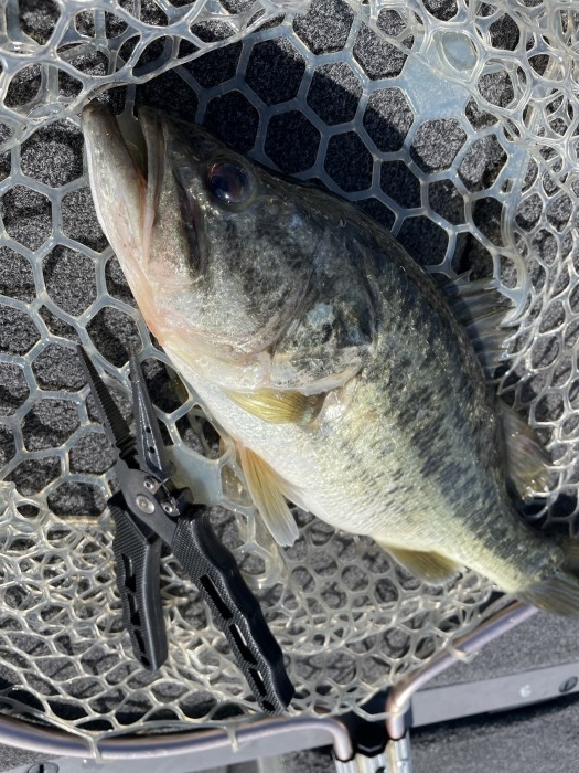 truth  ブログ写真 2021/04/27