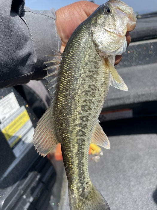 truth  ブログ写真 2021/05/04