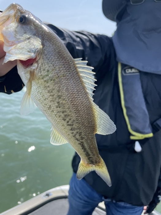 truth  ブログ写真 2021/05/04