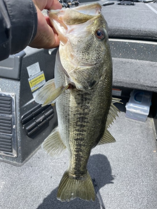 truth  ブログ写真 2021/05/04