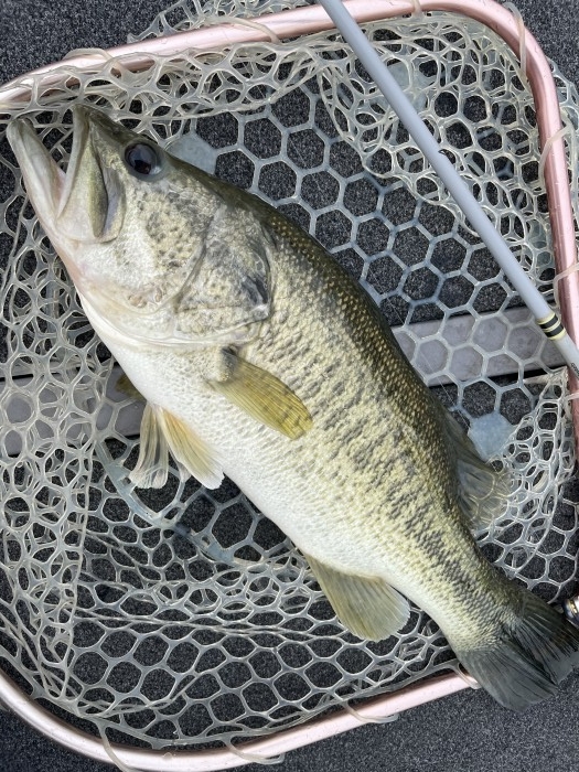 truth  ブログ写真 2021/05/04