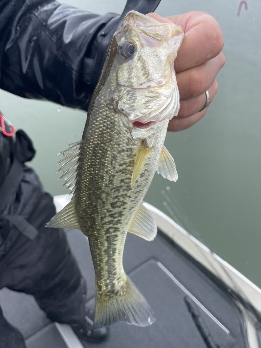 truth  ブログ写真 2021/05/06