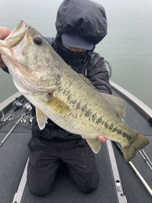 truth  ブログ写真 2021/05/06