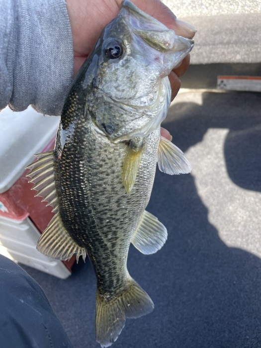 truth  ブログ写真 2021/05/06