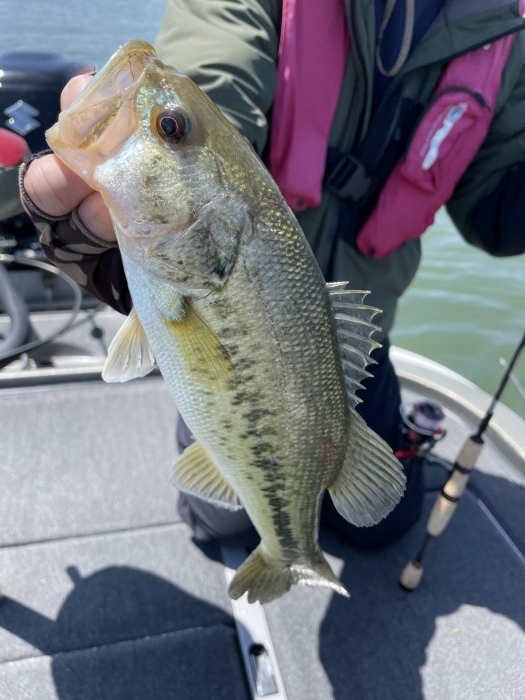 truth  ブログ写真 2021/05/06