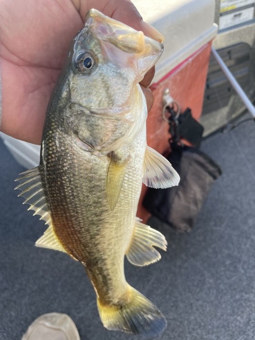 truth  ブログ写真 2021/05/06