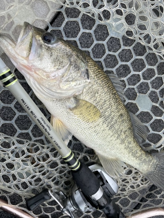 truth  ブログ写真 2021/05/07