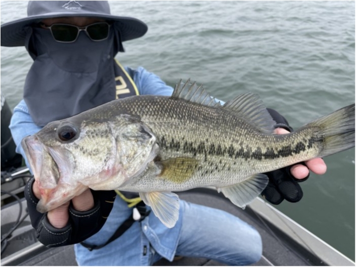 truth  ブログ写真 2021/05/08