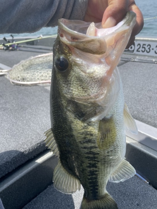 truth  ブログ写真 2021/05/10