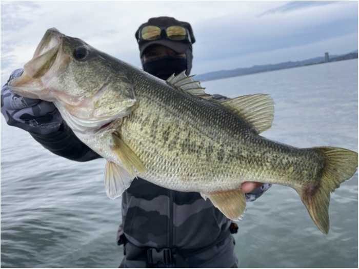 truth  ブログ写真 2021/05/11