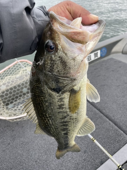 truth  ブログ写真 2021/05/12