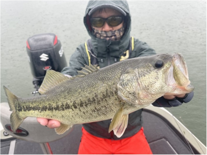 truth  ブログ写真 2021/05/12