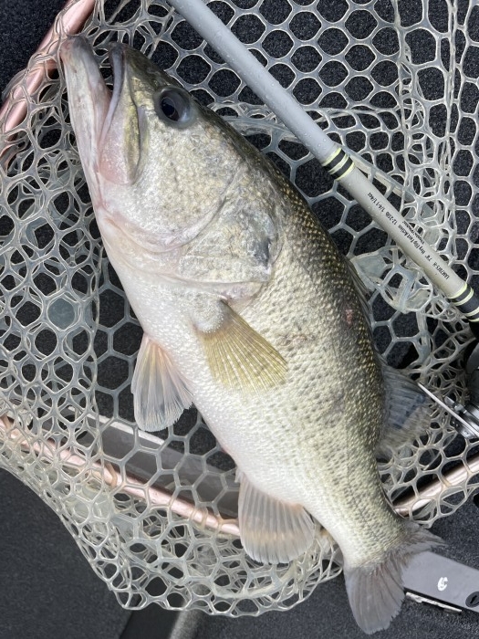 truth  ブログ写真 2021/05/12