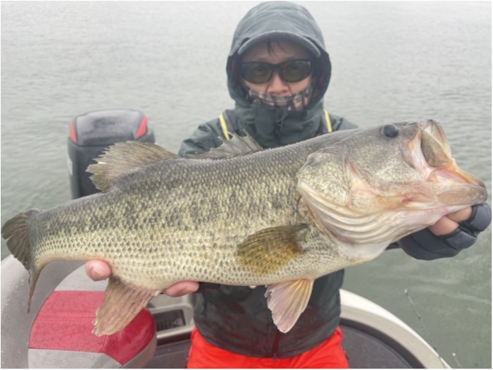 truth  ブログ写真 2021/05/12