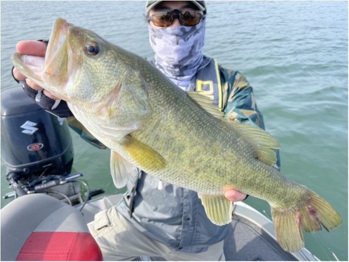 truth  ブログ写真 2021/05/15