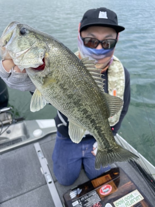 truth  ブログ写真 2021/05/15