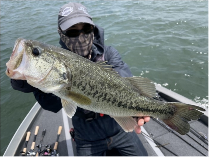 truth  ブログ写真 2021/05/15